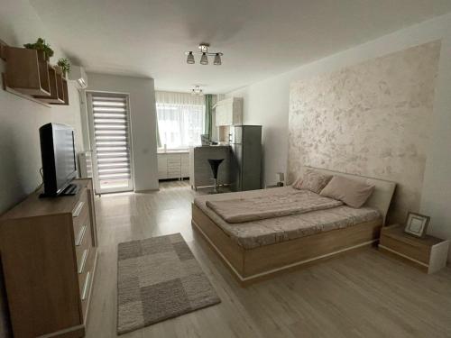 a bedroom with a bed and a television in it at Hanna's Apartament in Oradea