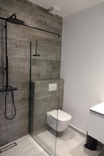a bathroom with a toilet and a glass shower at The Reef 28 Blue Bay Curacao in Sint Michiel