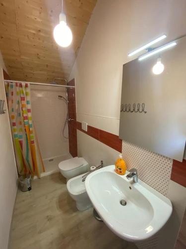 a bathroom with a sink and a toilet and a mirror at Terrazza Arcius in Moncalvo