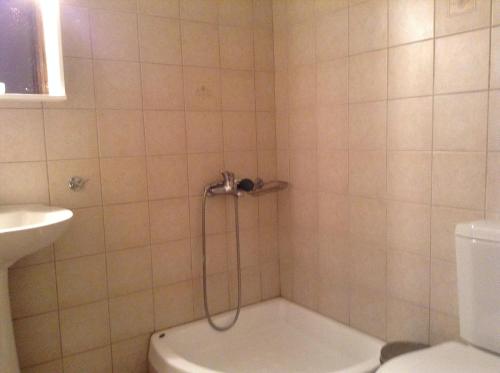 een badkamer met een douche, een toilet en een wastafel bij Ξενώνας Η Φωλιά in Agios Lavredios