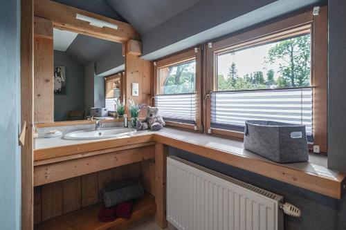 een badkamer met een wastafel en een raam bij Apartamenty u Giewonta in Zakopane