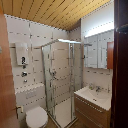 Un baño con ducha, inodoro y lavabo. en Ferienwohnung Am See, en Winterberg