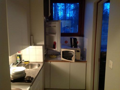 uma pequena cozinha com um lavatório e um micro-ondas em Hostel Varkaus em Varkaus