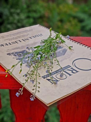a book sitting on top of a red table with flowers at Penzion ORION in Petrovice