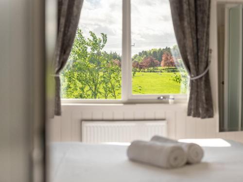 a window with a view of a green field at Lodge 6 - Inchyra in Perth