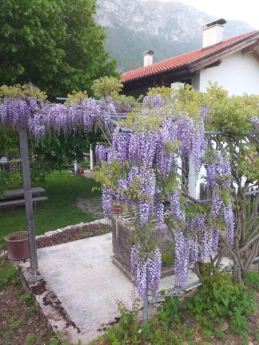 a wreath of purple flowers hanging from a fence at Storie di bosco in Villa Lagarina