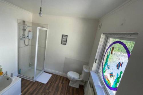 a bathroom with a toilet and a shower and a sink at Acushla House in Londonderry County Borough