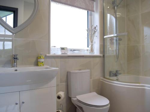 a bathroom with a toilet and a sink and a mirror at Bumble Lodge in Llynclys