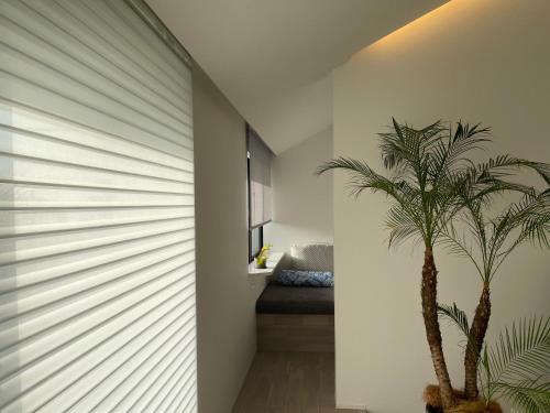 una palmera en un pasillo junto a una pared en Villa Mariso “貸別荘マリソ“, en Noma