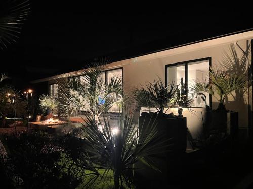 a house with plants in front of it at night at Villa Mariso “貸別荘マリソ“ in Noma