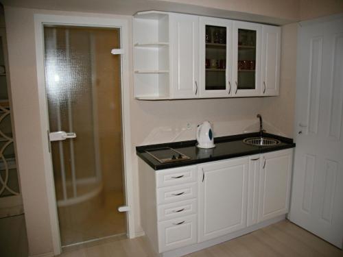 cocina blanca con lavabo y ducha en Apartment Helena, en Karlovy Vary