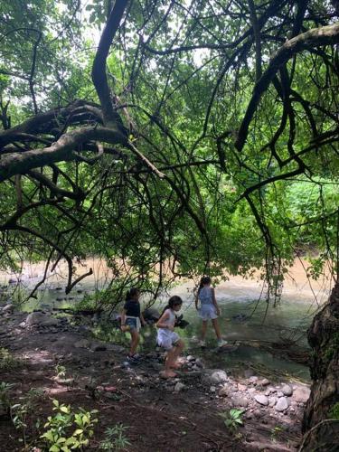 three women walking in the woods under a tree at Wabi Sabi , casa de playa in Tamanique