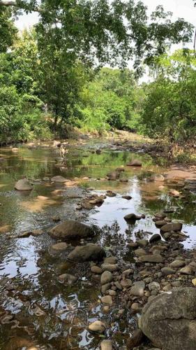 a stream of water with rocks and trees at Wabi Sabi , casa de playa in Tamanique