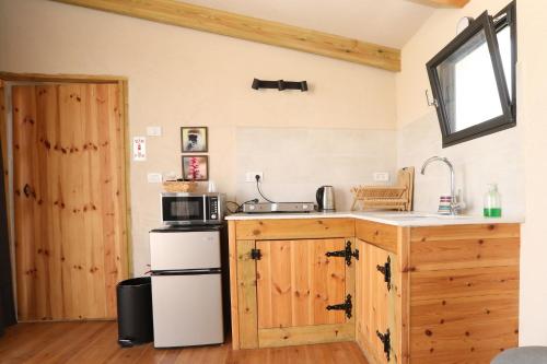 a kitchen with a sink and a microwave at Genesis Land Desert hospitality in Kfar Adumim