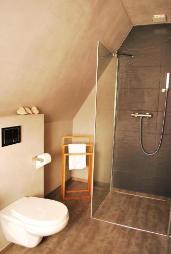 a bathroom with a shower and a toilet at Dom Numer 127 in Czarna Góra