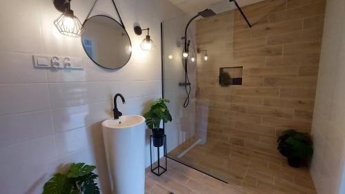 a bathroom with a shower and a sink and a mirror at APARTAMENTY MONTANIA WISŁA in Wisła