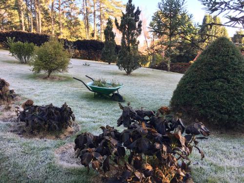 a group of birds in a yard with a tub at Aconchegante casa em Monte Verde in Monte Verde