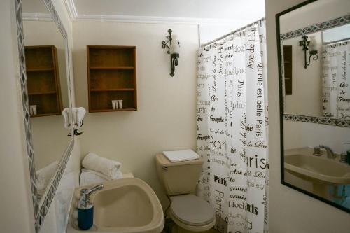 W łazience znajduje się umywalka, toaleta i lustro. w obiekcie Hotel Jardin del Lago w mieście Las Cabras