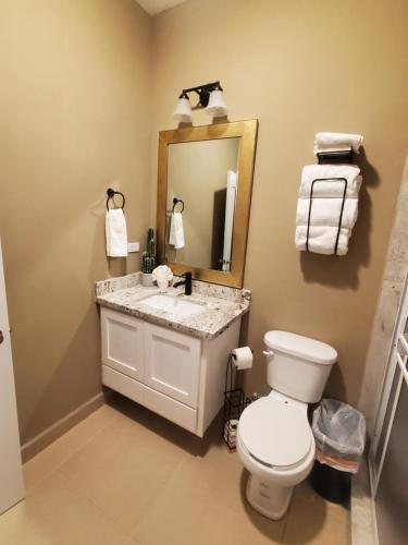 a bathroom with a toilet and a sink and a mirror at Sofia apartment in Puerto Peñasco