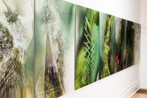 Fotografie z fotogalerie ubytování Mona Farm v destinaci Braidwood
