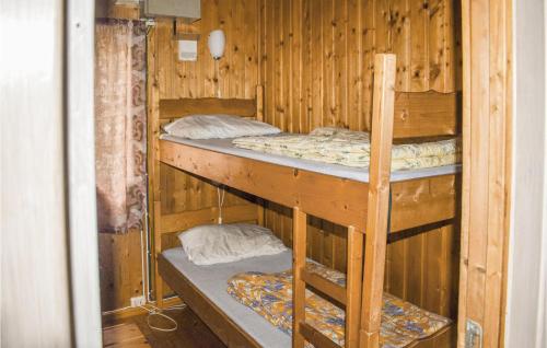 een kamer met 2 stapelbedden in een hut bij 3 Bedroom Awesome Home In Vikersund in Vikersund