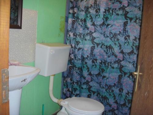y baño con aseo, lavamanos y cortina de ducha. en Cabañas Varua, en Hanga Roa