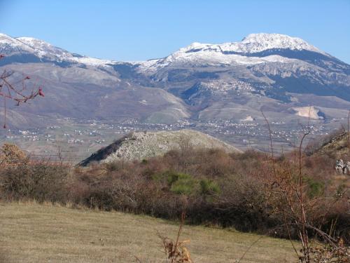 a giraffe standing in a field with mountains in the background at Azienda Agricola Il Querceto in Marsico Vetere
