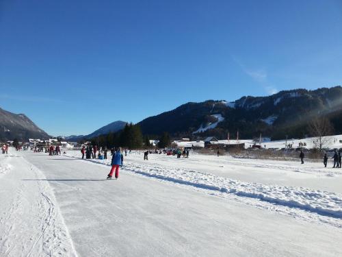 a group of people standing on a snow covered road at Ferienwohnung Andritsch in Sankt Georgen im Gailtal