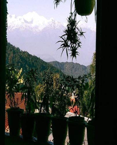 a group of potted plants on a window with a mountain at Chiten Homestay by StayApart in Sonāda