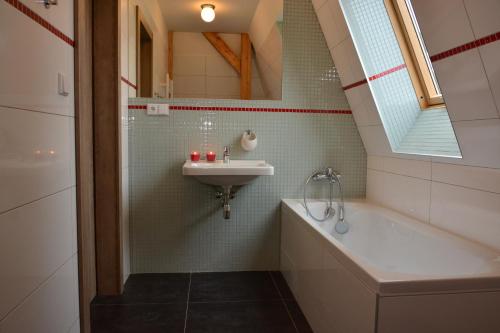 ein Badezimmer mit einem Waschbecken und einer Badewanne in der Unterkunft Vila Krocinka in Prag