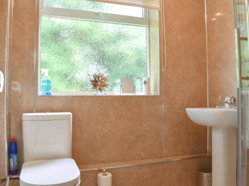 a bathroom with a toilet and a sink and a window at Willow Cottage in Kessingland