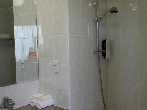 a bathroom with a shower with a glass door at Riddiford Hotel in Lower Hutt