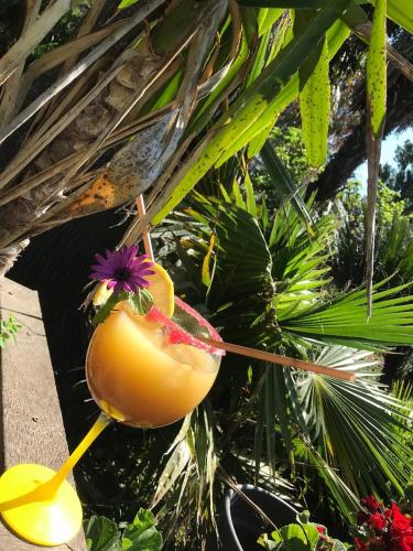 a yellow fruit with a purple flower on top of it at Hôtel Restaurant Les Chasseurs in Marine de Pietracorbara