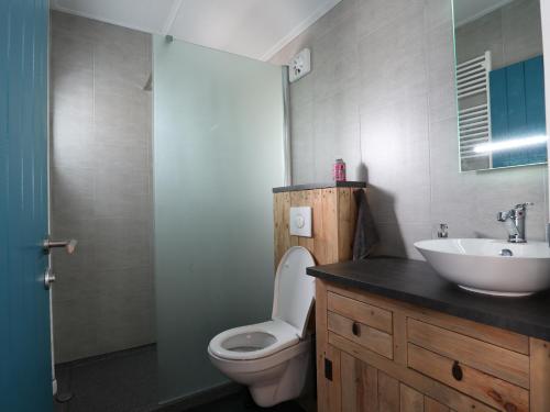 a bathroom with a white toilet and a sink at Hofstay195 in Achterveld