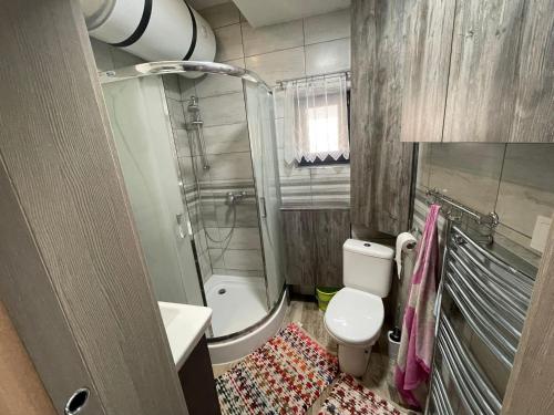 a small bathroom with a toilet and a shower at Chata Miško in Snina