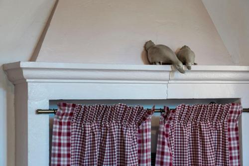 two cats sitting on top of a fireplace at Al Duomo in Lonato del Garda