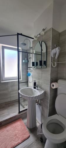a bathroom with a sink and a toilet at AKY Residence in Slănic-Moldova
