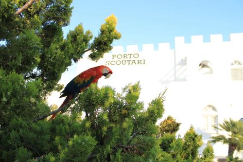 Foto dalla galleria di Porto Scoutari Romantic Hotel a Skála