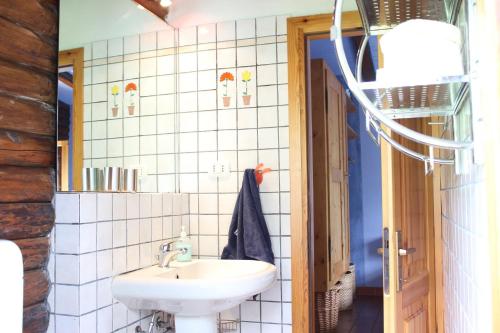 a bathroom with a sink and a mirror at Bassotta Strand-Blockhaus in Sorico