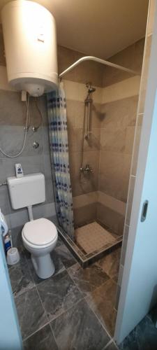 a bathroom with a toilet and a shower at Studio apartman Centar in Varaždin