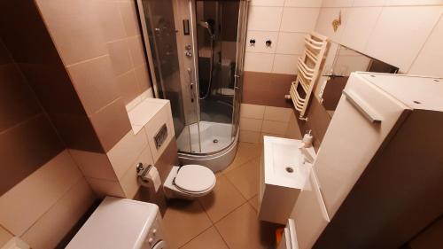 グダニスクにあるApartament Nowa Oliwaの小さなバスルーム(トイレ、シャワー付)