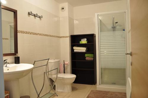 La salle de bains est pourvue de toilettes, d'un lavabo et d'une douche. dans l'établissement Appartement charmant en Corse avec terrasse au calme, à Santa-Lucia-di-Moriani