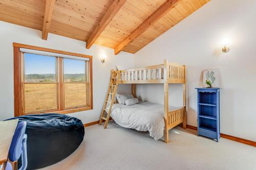 a bedroom with a bunk bed and a ladder at Ocean Phoenix in Sea Ranch