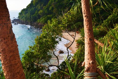 a view of a beach from between two palm trees at Paradise Lost Bungalows in Koh Kradan