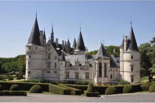 a large white castle with a bunch of turrets at Maison de village en bord de rivière in Narcy