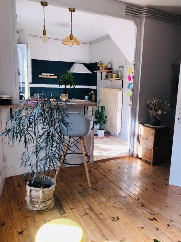 un salon avec une table et une plante en pot dans l'établissement Appartement cosy en ville haute, à Saint-Flour