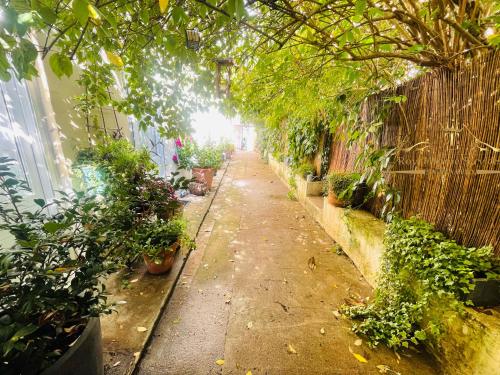 an empty garden alley with plants and a fence at La petite Maison dans la Croix Rousse in Lyon
