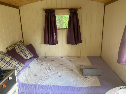 a bed in a small room with a window at The Shepherd's Hut - Wild Escapes Wrenbury off grid glamping - ages 12 and over in Baddiley