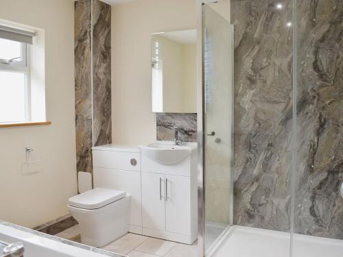 a bathroom with a toilet and a sink and a shower at Green Acre Farm in Ely