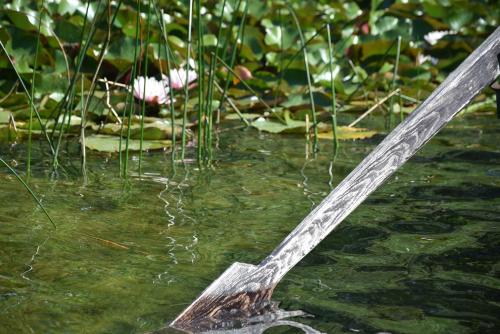 a wooden pole sticking out of the water at Beržų namelis - Birch cabin in Kučiūnai